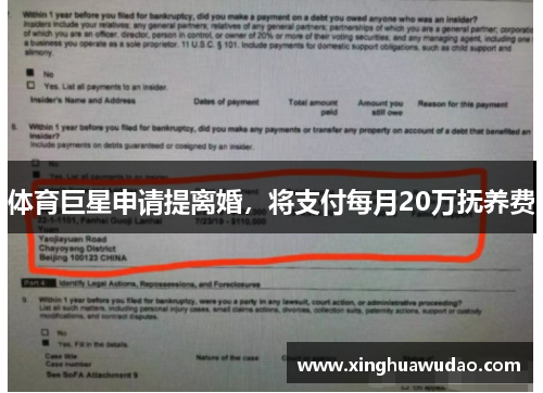 体育巨星申请提离婚，将支付每月20万抚养费